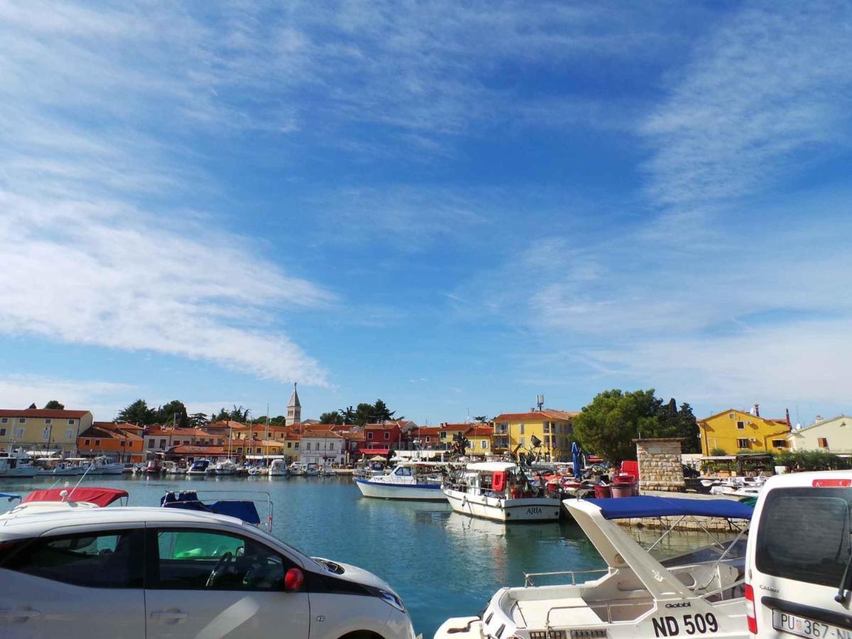 Apartments In Lopar - Insel Rab 40853 Dış mekan fotoğraf