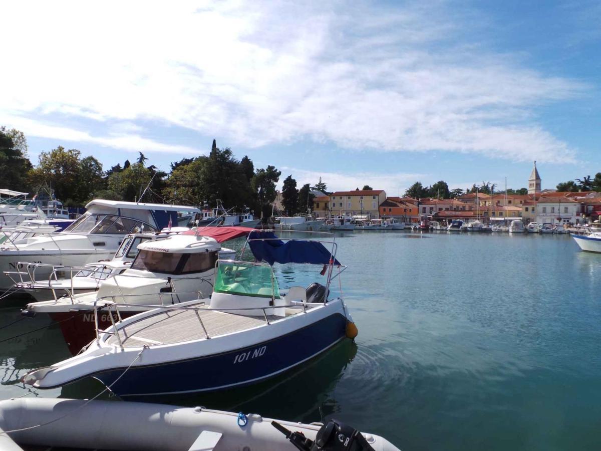 Apartments In Lopar - Insel Rab 40853 Dış mekan fotoğraf